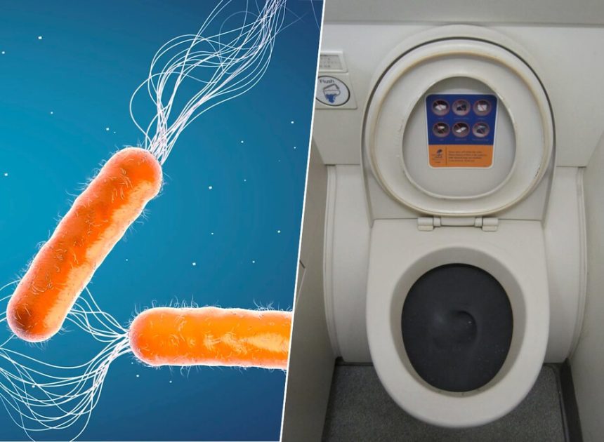 Nadie sabe cómo combatir las superbacterias, pero hay quienes ya son de ayuda: los que hacen caca en los aviones