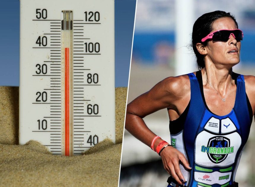 A 34ºC, diez latidos más por minuto: el efecto del calor en nuestra frecuencia cardiaca al hacer deporte en verano
